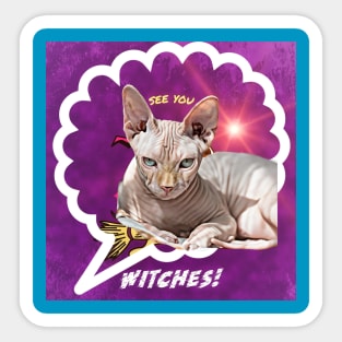 See You, Witches! (hairless cat) Sticker